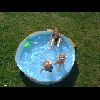 pool6.jpg